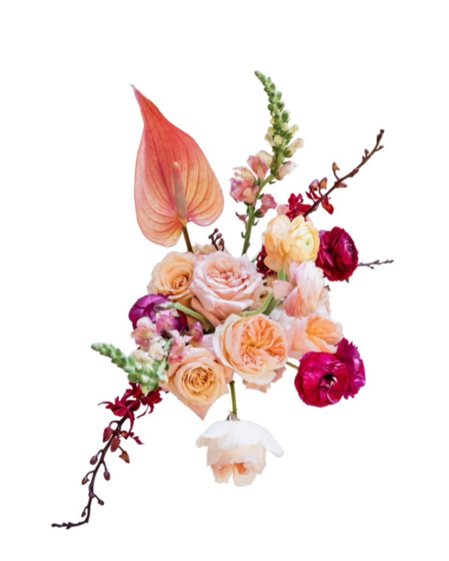 Designer’s Choice- Large